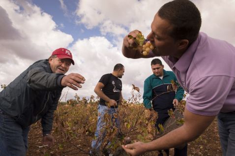 1415192064_308521_1415192478_album_normal