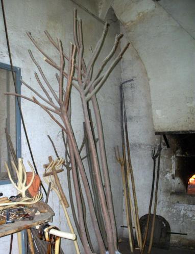 Almez para horcas Celtis australis_USO_JoseFajardo