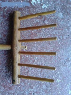 bieldo Orca-y-biergo-174319473_6