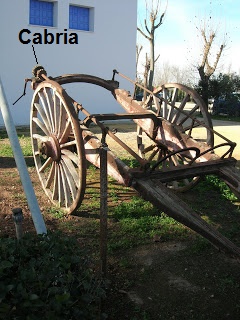 cabria para toneles tonel