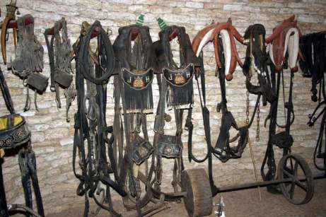 guarniciones colleras1