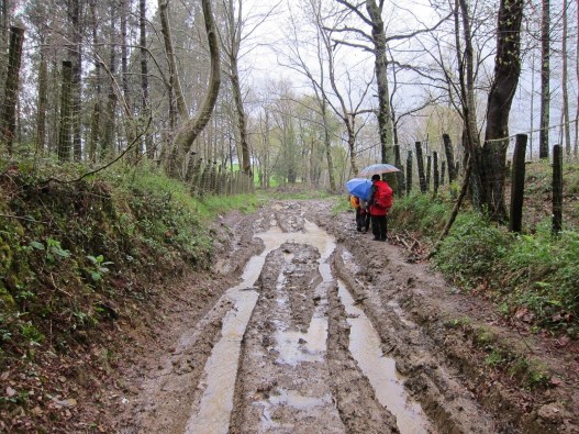 rodás 14032624mas barro