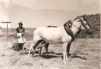 Trilla con volvedera vellosillo fotos antiguas 028