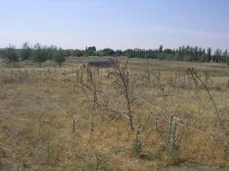 malecones 036-001.jpg