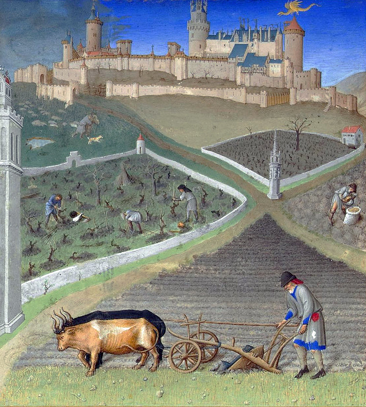 ©Photo. R.M.N. / R.-G. OjŽda