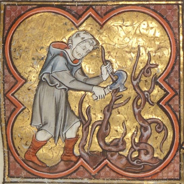 Poda de viñedo 516da9812626e61548356673e8c8e2e8.jpg