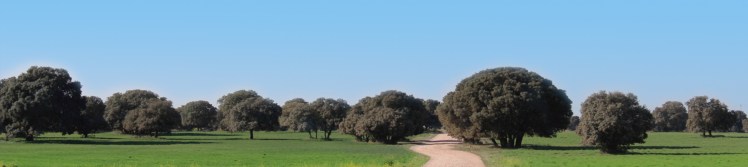 monteguerra sliderIndex03