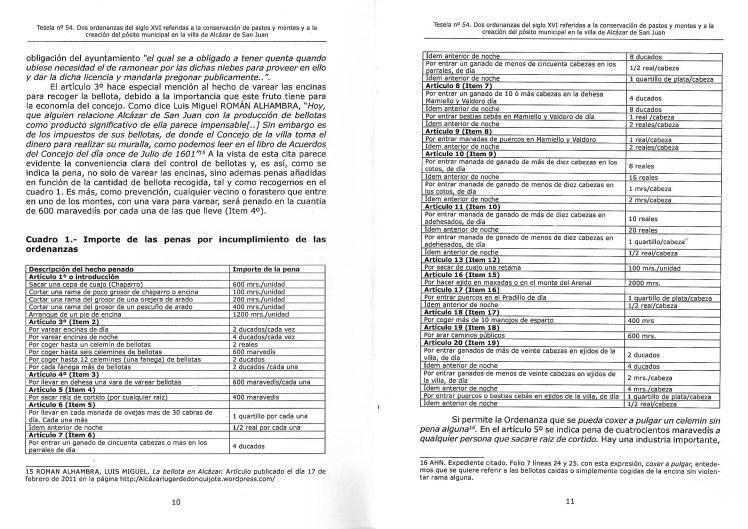 Ordenanza de pastos Scan.jpg