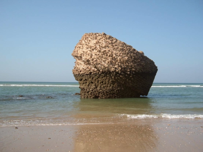 torre de la higuera sevillasecreta.com playa1