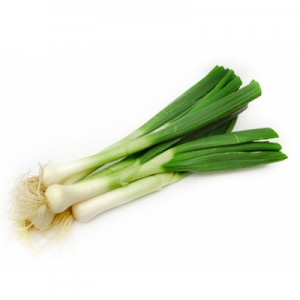 cebolleta paulinaocina.net m-300x300