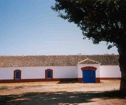bodega-los-isla-villarta-de-san-juan