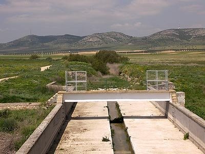 bUENAVISTA  MAPIO.NET9259930.jpg