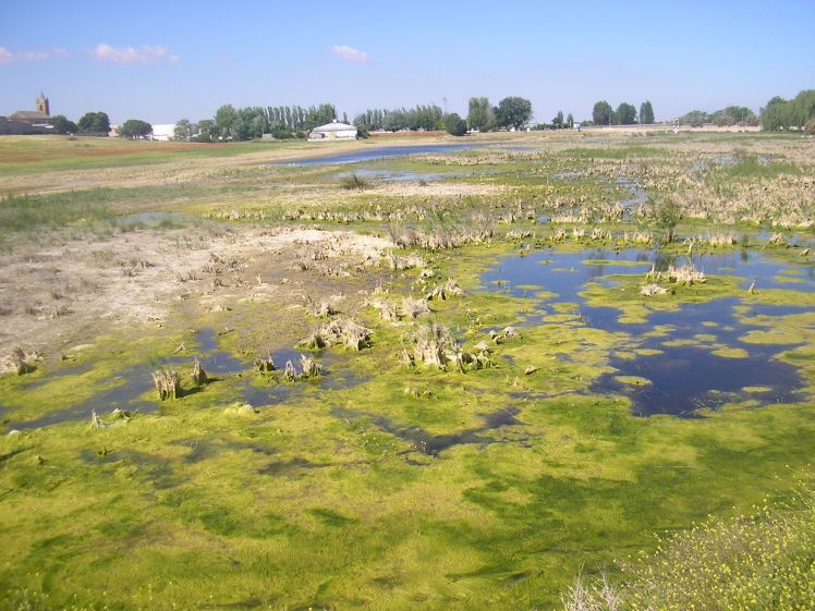 croquis puente 4 sept 2012 318.jpg
