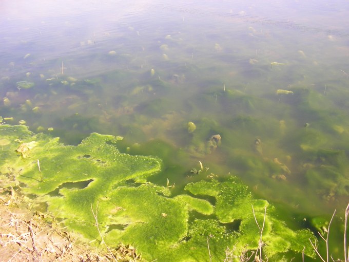 Imagen  rio y villarta 4 abril 2010 003.jpg