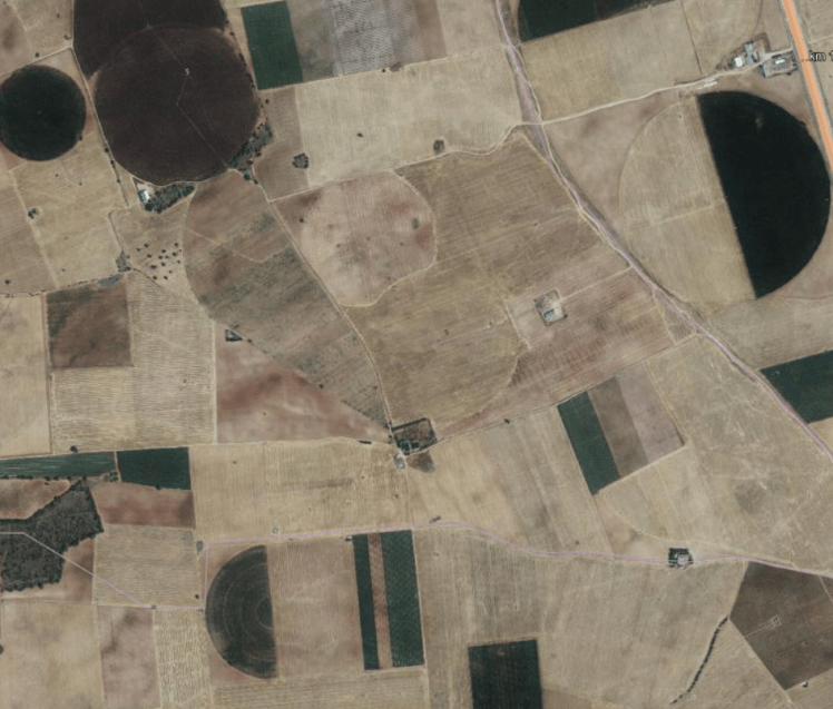 el velo el rocin ahora canvas.png