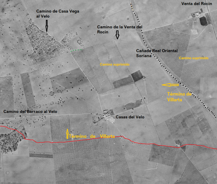 El velo el rocin antes canvas.png