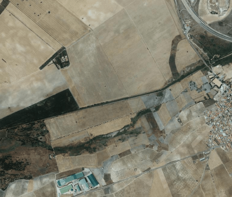 la calerilla, la motilla huertas y bajeros 2018canvas.png