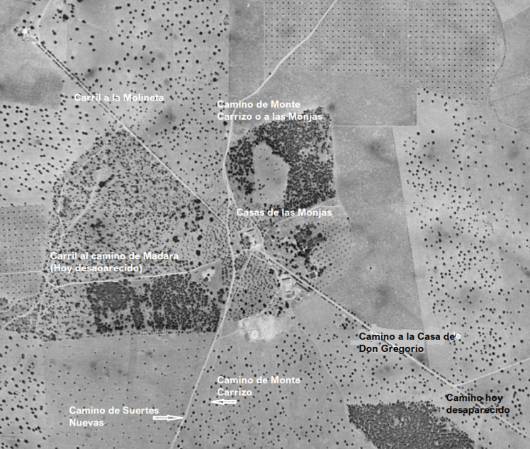 las monjas antes canvas.png