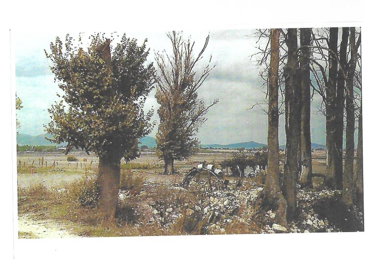 Noria de Agueda Scan.jpg