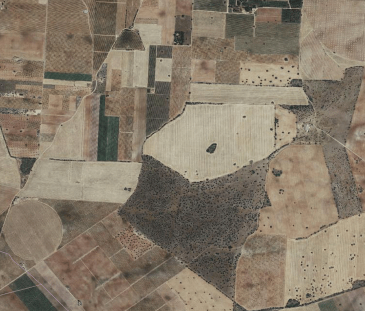 suertes nuevas monte vega ahora canvas.png