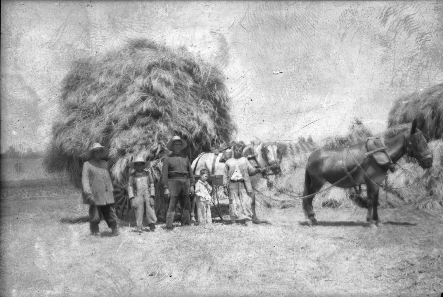 panizo daimiel al día .jpg