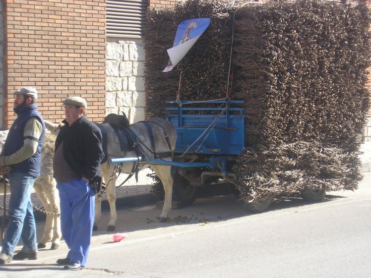 Mis imagenes. 019.jpg