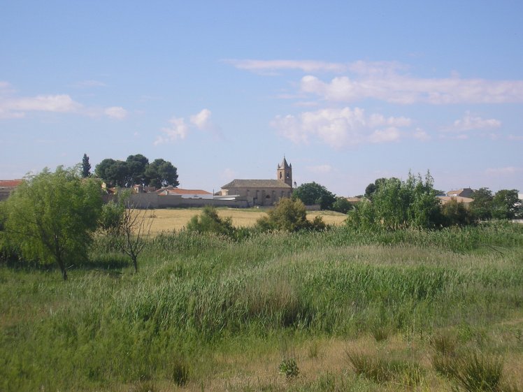 agosto julio 2014 011.JPG