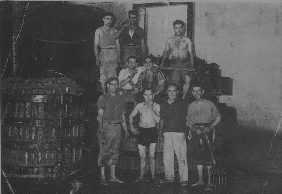 Cooperqativa 1622728_691082417652898_726169394394047128_n.jpg