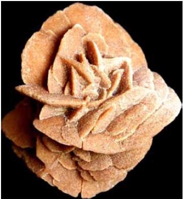 rosa del desieerto a5f20