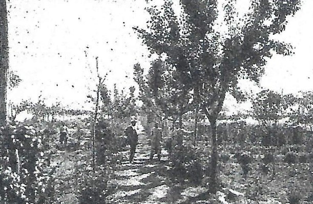 bODEGAS GOMEZ CALCERRADA Scan.jpg