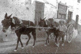 Tienda Rodriguez Scan