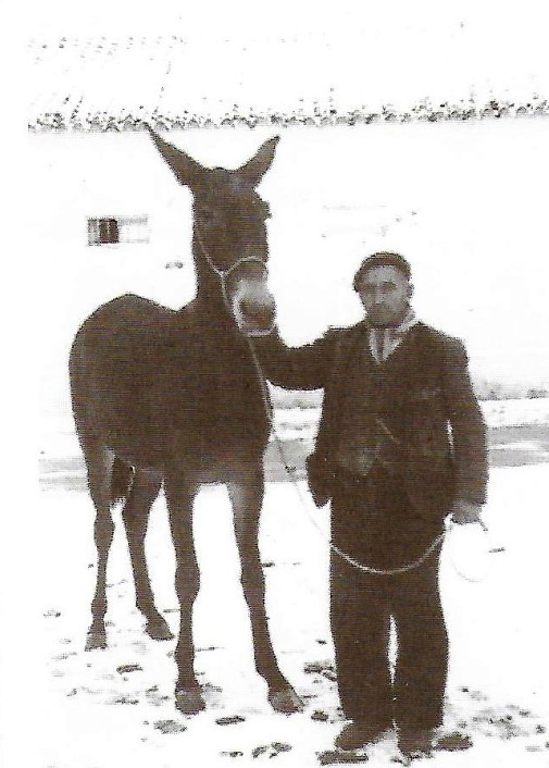 1 gañanes Scan