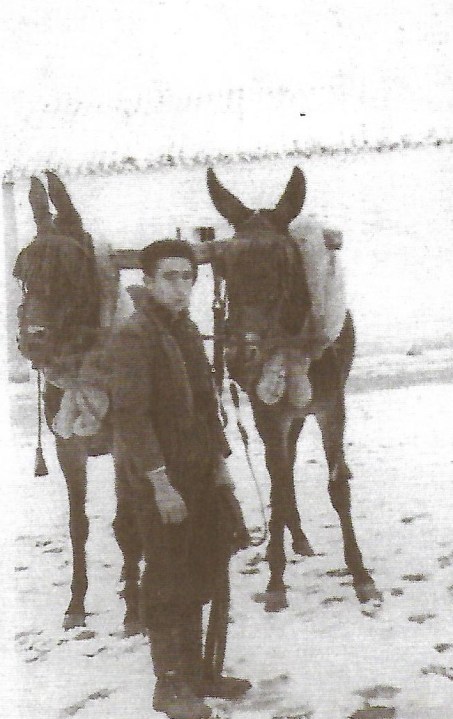 2 gañanes Scan
