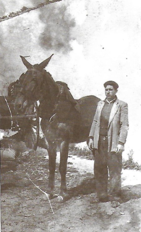 3 gañanes Scan